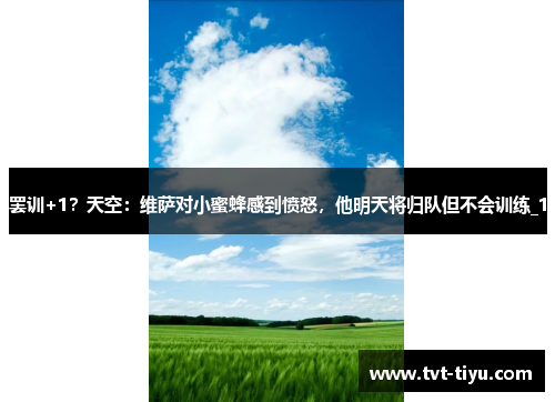 罢训+1？天空：维萨对小蜜蜂感到愤怒，他明天将归队但不会训练_1